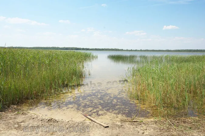 На Волині причаїлось «мутне» озеро з цінним мулом та незайманою природою (фото)