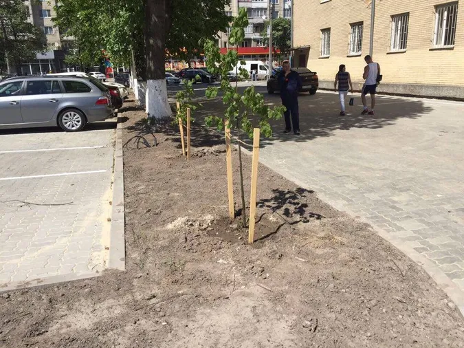 На розважальний центр «Промінь» тиснуть, – директор