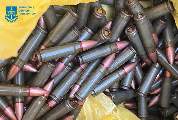 На Волині судитимуть членів банди з Маріуполя, які торгували зброєю (фото)