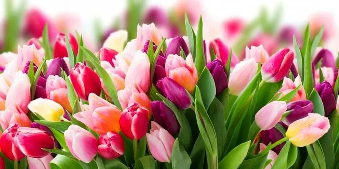 💐З днем ангела Галини: красиві листівки та зворушливі привітання