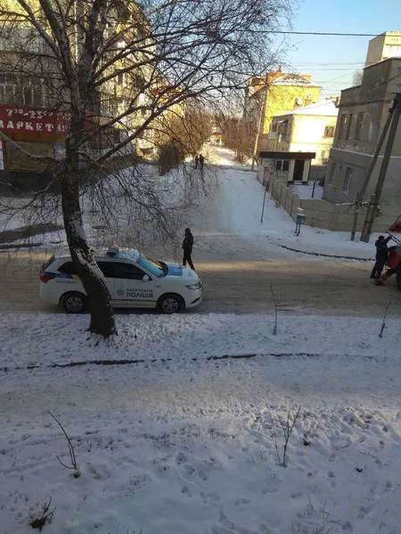 У Луцьку рятувальники визволяли дитину, яка випадково заблокувала себе вдома (фото, відео)