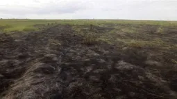 Понад 3 тисячі гривень штрафу: волинянина оштрафували за підпал трави