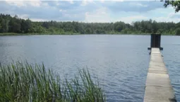 За 85 км від Луцька – озеро з цілющою прозорою водою, яке люблять фанати довгих запливів (фото)