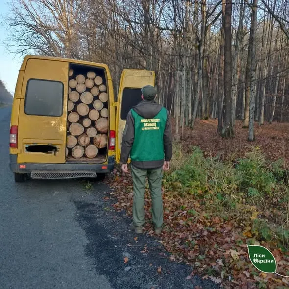 На Волині спіймали бус, набитий деревиною з Нацпарку (фото)