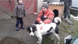 Показали нову сім'ю луцького собаки Біма (фото)