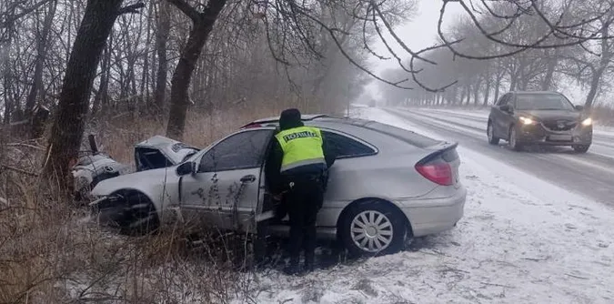 На автодорозі Луцьк – Львів «мерс» протаранив дерево: постраждали жінка і двоє маленьких дітей (фото)