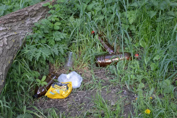 Як прибирають за собою лучани після відпочинку на природі (фоторепортаж)