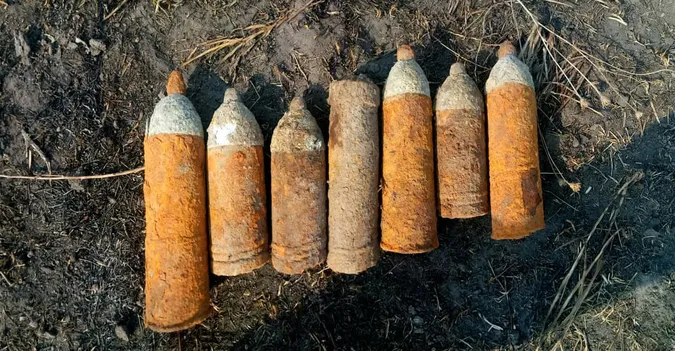 Пішов по гриби: на Волині дідусь знайшов у лісі міни і снаряди (фото)