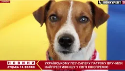 Українському псу-саперу Патрону вручили найпрестижнішу у світі кінопремію для чотирилапих (відео)