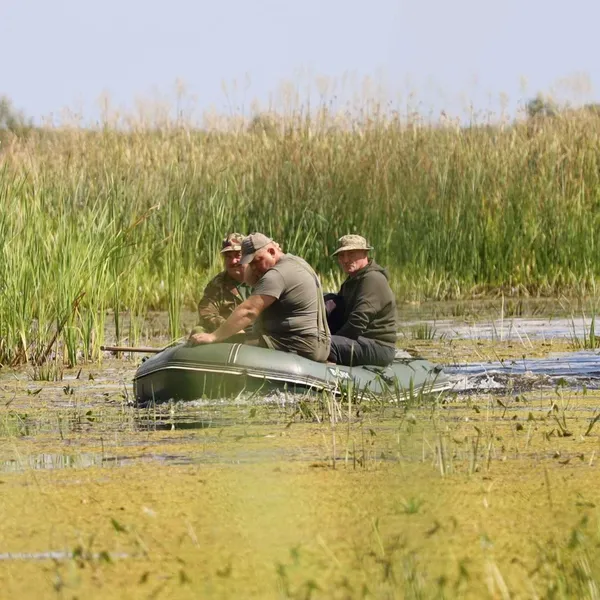 Волинські водойми значно обміліли: чи вплинуло це на кількість водоплавних птахів