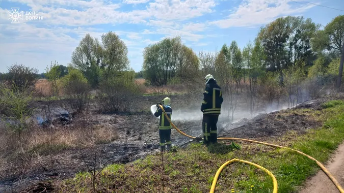Суха трава, очерет і два торфовища: на Волині спалахнули 8 пожеж (фото)