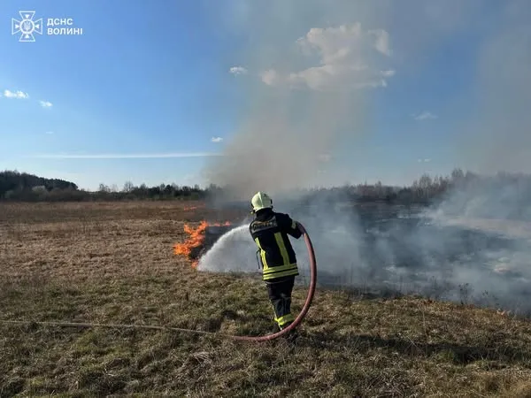 За добу на Волині вигоріло майже 6 гектарів сухої рослинності (фото)