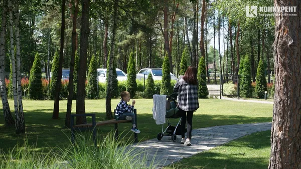 Де безпечно відпочивати з дітьми: ДП «Ліси України» запускає другий етап проєкту «Вікно у ліс»