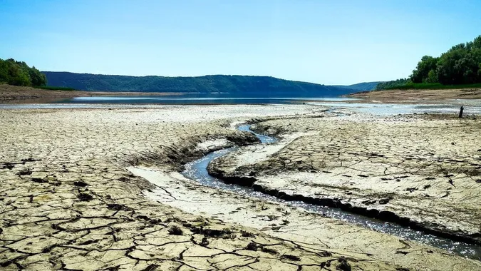 Не рятує навіть дощ: чому волинські водойми міліють