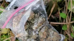 У луцькому парку знайшли близько 20 пакетів із марихуаною (фото)