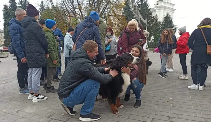 У центрі Луцька закружляв «собачий» вальс (фото, відео)