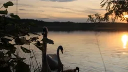Рай серед лісів Полісся: які озера Волині вражають чистою водою (фото)