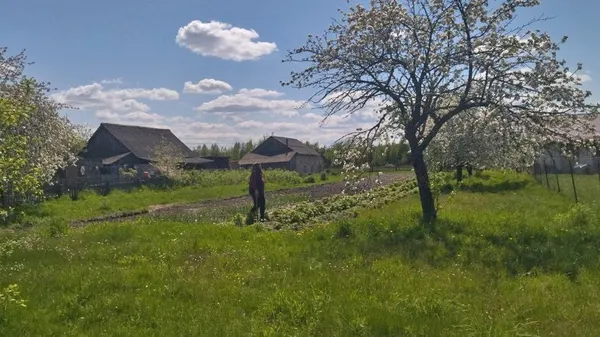 Через болото – Білорусь: як живуть волиняни у прикордонній зоні (фото, відео)