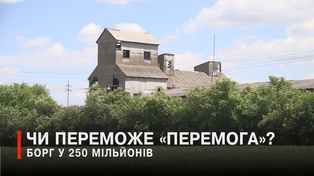 Під Луцьком заростає маками 1,5 тисячі гектарів родючої землі: що сталося (відео)
