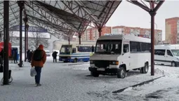 «Водія забрали в ЗСУ»: у прикордонному селі на Волині зчинили ґвалт (відео)
