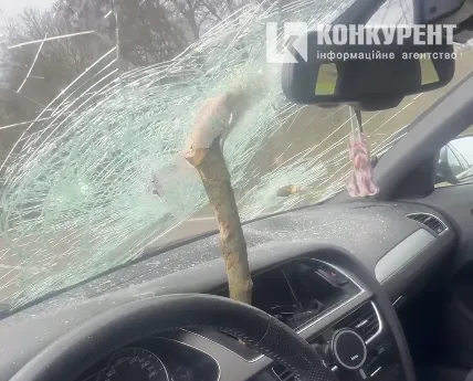 На авто лучанки на швидкості впало дерево і проштрикнуло «лобовуху»: моторошні деталі (фото, відео)