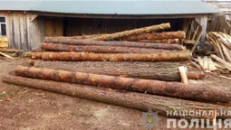 На приватній пилорамі на Шаччині знайшли соснові колоди без документів (фото, відео)