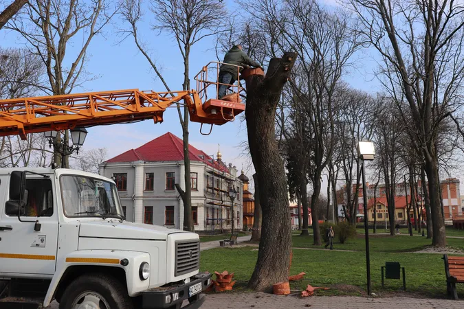 У Володимрі оригінально прикрасили зрізані дерева (фото)