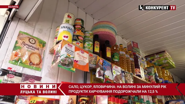 Російські пропагандисти на ТБ «обсмоктали» кадри з Волині (відео)