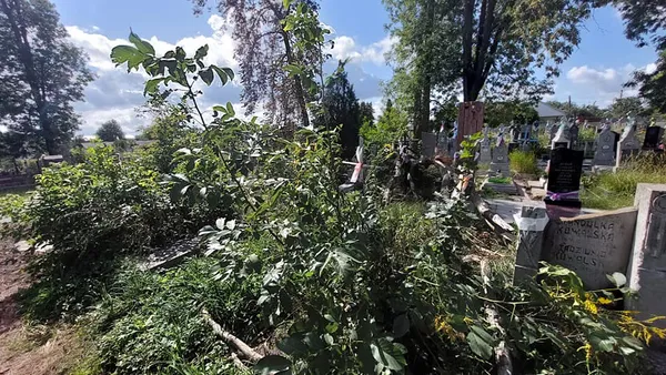 Зруйновані надгробки: у Володимирі сильний вітер повалив дерево на кладовиші (фото)