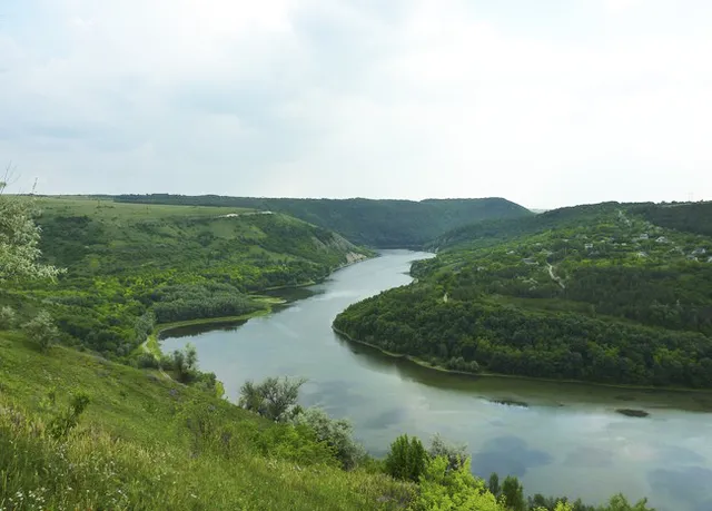 Синютський ліс
