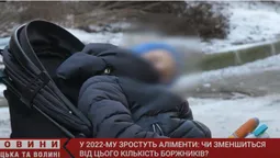 Аліменти зросли: чи стане на Волині більше боржників (відео)