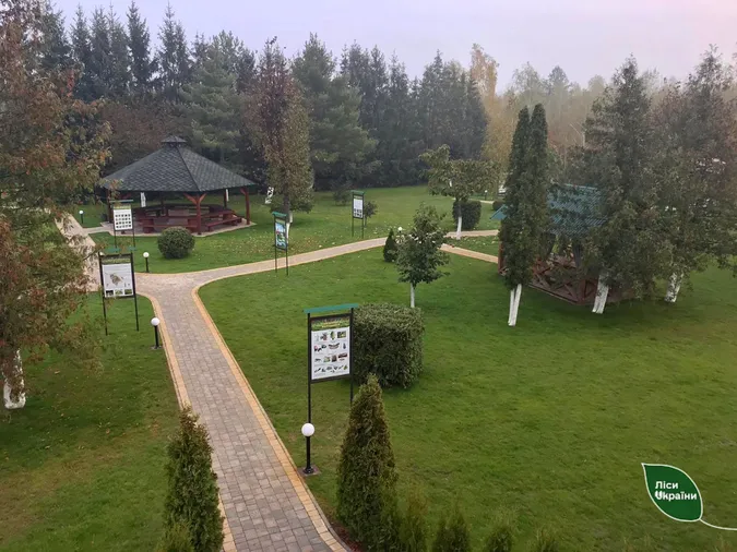 Ківерцівське лісництво назвали кращим в Україні