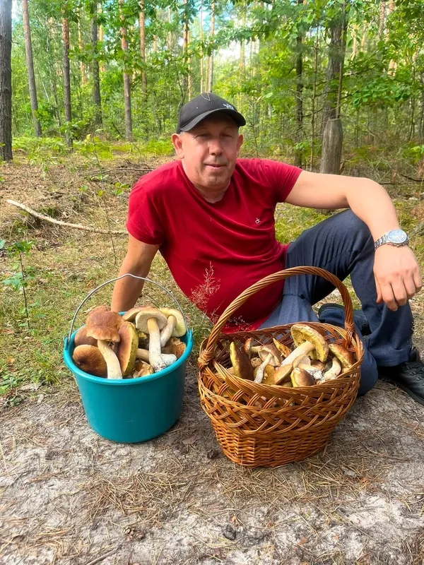 Повні кошики білих і польських: на Волині здали грибну локацію (фото)
