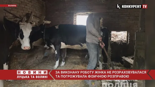 Жили в хліву і працювали за їжу: волинянка утримувала людей у трудовому рабстві (фото, відео)
