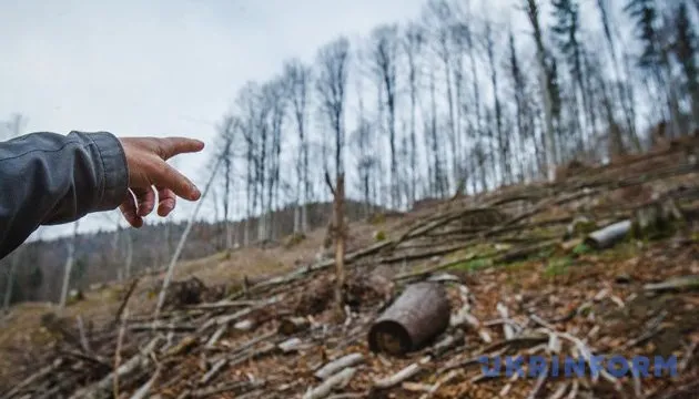 Серед лісу знайшли пальці диявола – їхній вигляд вражає