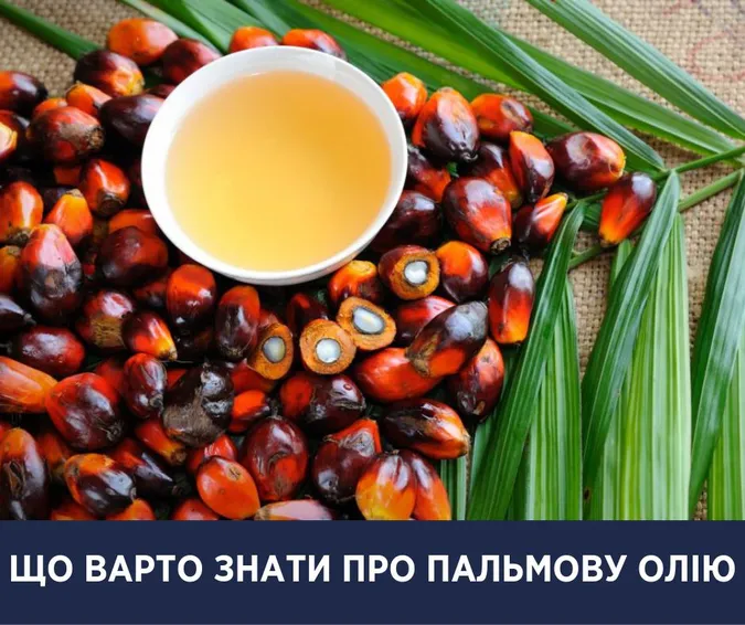Супрун розповіла про переваги та недоліки пальмової олії