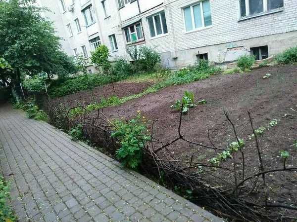 Луцькі муніципали демонтували обмежувачі руху і паркани 