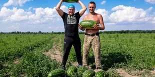 Не гірші за херсонські: на Волині фермер зібрав 120 тонн солодких кавунів з двох гектарів (фото)