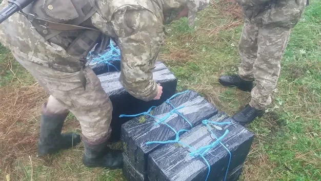 На Волині біля кордону знайшли сховок із сигаретами (фото, відео)