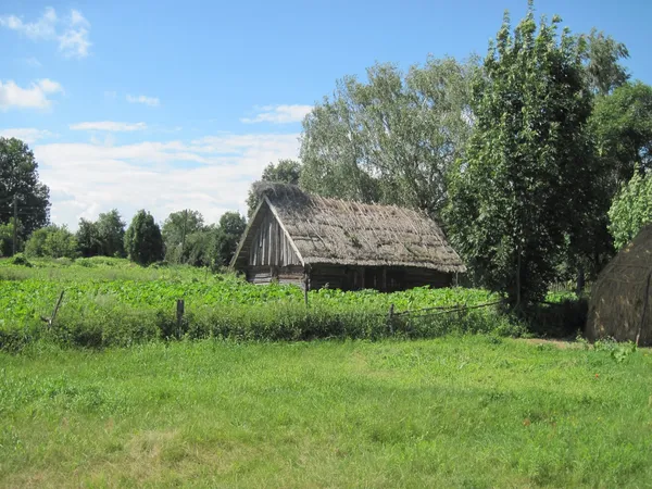 Село на краю світу: де на Поліссі ще можна побачити життя, як 200 років тому (фото)