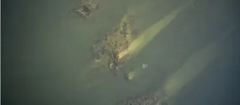 У Болгарії через обміління Дунаю з-під води показався давній римський міст, якому майже 1700 років (фото)