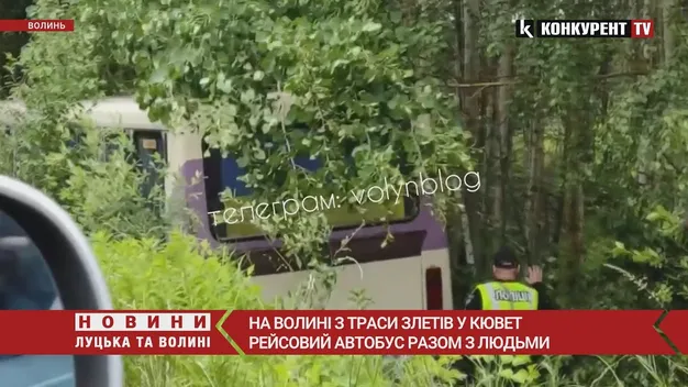 На трасі Київ-Ковель-Ягодин маршрутка злетіла у кювет (відео)