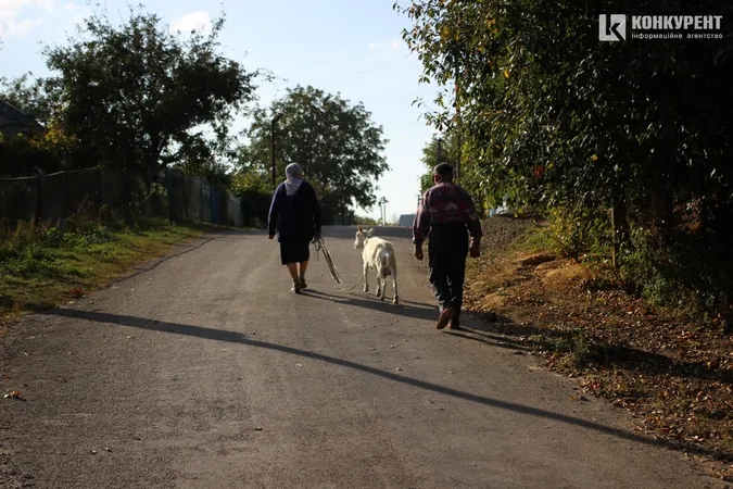 Бабине літо у селі під Луцьком (фото)