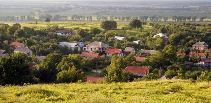 Зарослі сади, чагарники та пусті домівки: куди зникають села на Волині (фото, відео)