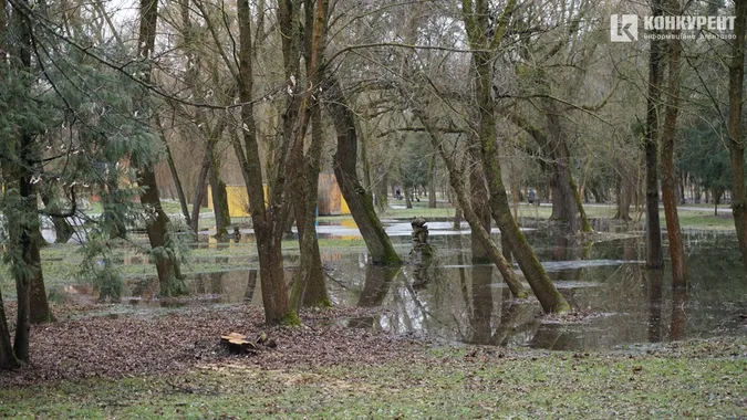 Мокрий луцький парк, або Як алеї тонуть у воді (фото)