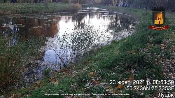 Головне у Луцьку: ТОП новин четверга, 28 жовтня