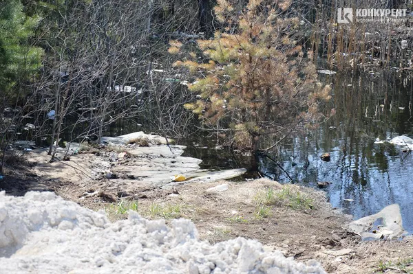 Брищенський полігон: як гниє луцький непотріб та чому екологи обурені (ФОТО)