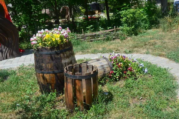 Замість смітника – парк «Лісова пісня»