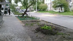 Як у Луцьку двори ремонтують: думка містян (фото)