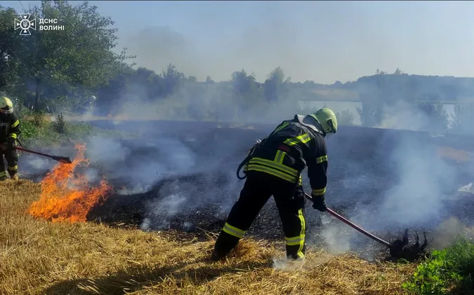 Чотири пожежі за добу: на Волині люди масово палять сухостій